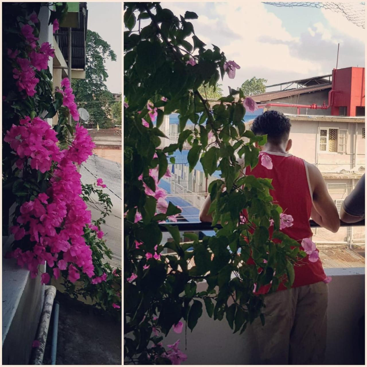 Bhaskar Homestay ديبروجاره المظهر الخارجي الصورة